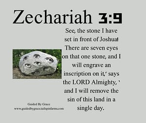 Zechariah 39