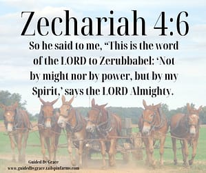 Zechariah 46
