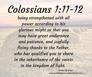 Colossians 111