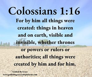 Colossians 116