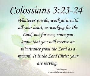 Colossians 323