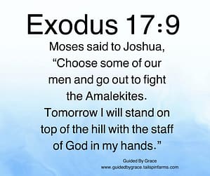 Exodus 179