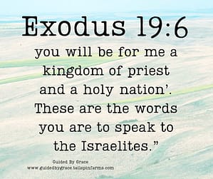 Exodus 196