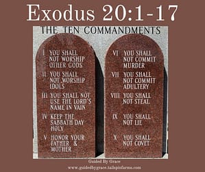 Exodus 201-17