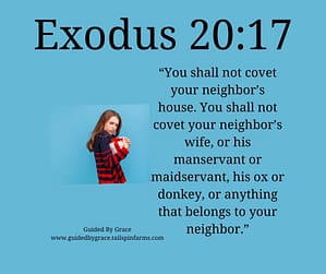 Exodus 2017