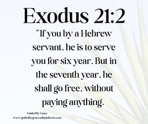Exodus 212-