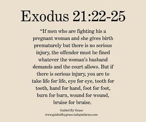 Exodus 2122-23