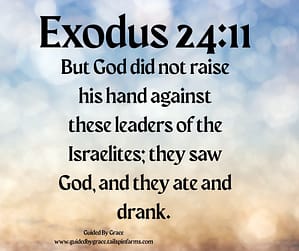 Exodus 2411