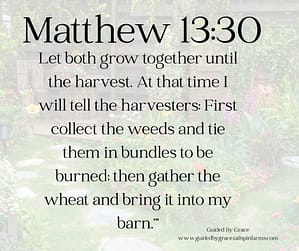 Matthew 1330