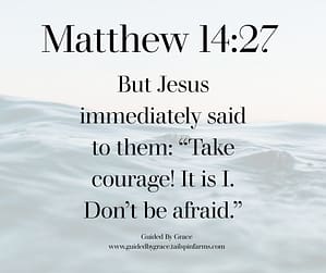Matthew 1427