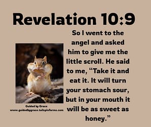 Revelation 109