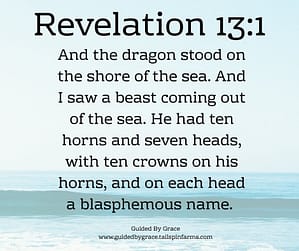 Revelation 131