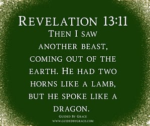 Revelation 1311