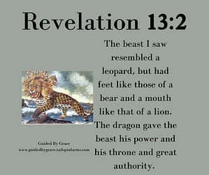 Revelation 132