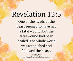 Revelation 133