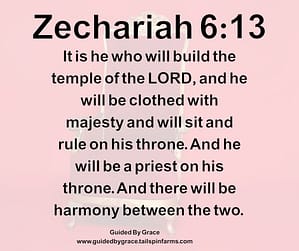 Zechariah 613