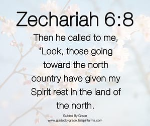 Zechariah 68