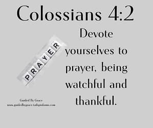 Colossians 42