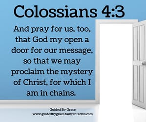 Colossians 43