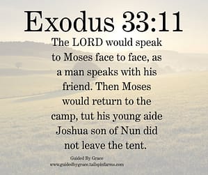 Exodus 3311