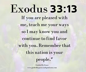 Exodus 3313