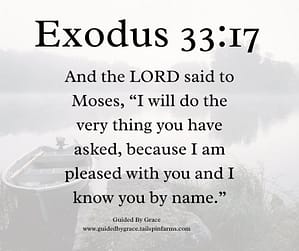 Exodus 3317
