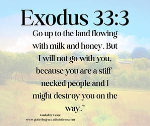 Exodus 333