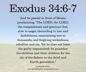 Exodus 346-7