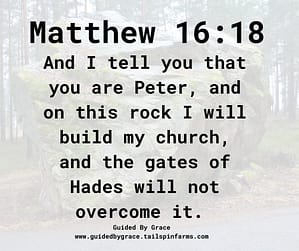Matthew 1618
