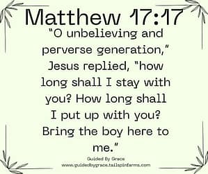 Matthew 1717
