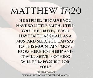 Matthew 1720