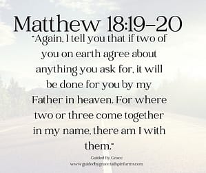 Matthew 1819-20