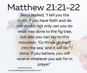 Matthew 2121-22