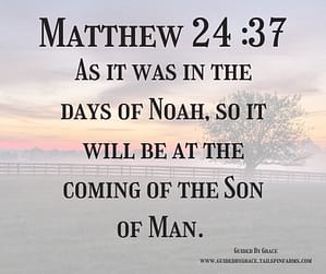 Matthew 24 37