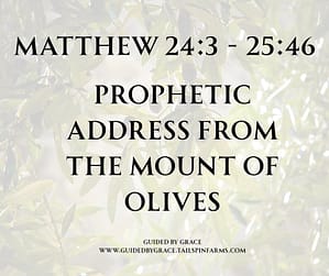 Matthew 243 - 2546
