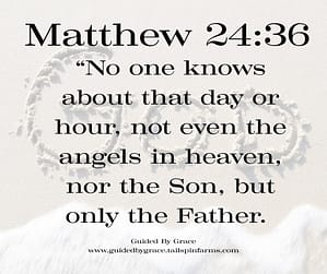 Matthew 2436
