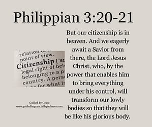 Philippian 320
