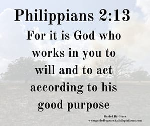 Philippians 213