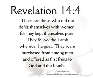 Revelation 144