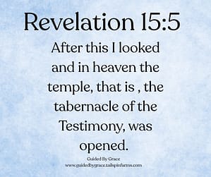 Revelation 155