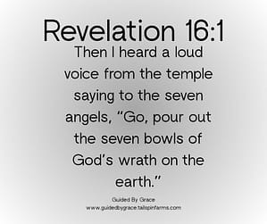 Revelation 161