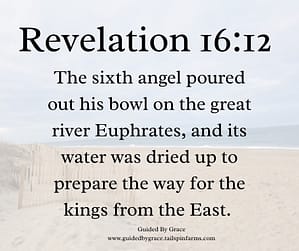 Revelation 1612