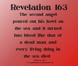 Revelation 163