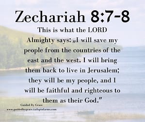 Zechariah 87-8