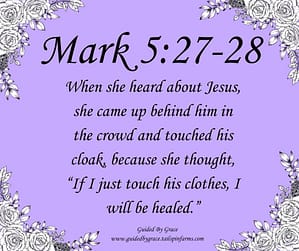 Mark 528