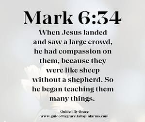 Mark 634