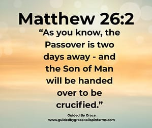 Matthew 262