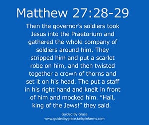 Matthew 2728-29
