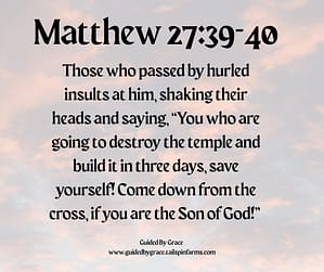 Matthew 2739