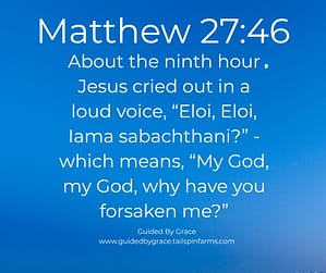 Matthew 2746